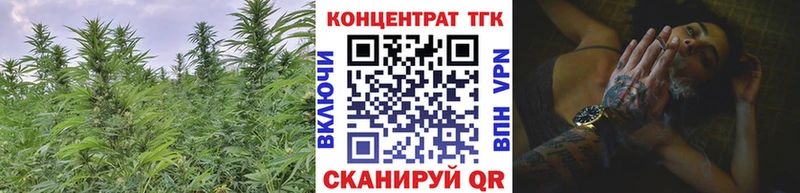 ТГК THC oil  ссылка на мегу зеркало  Петровск-Забайкальский 