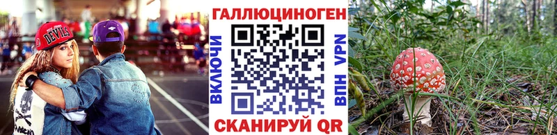 Галлюциногенные грибы мухоморы  Петровск-Забайкальский 